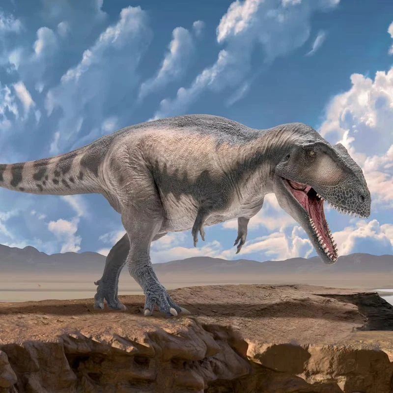 Prehistoric Dinosaur Models:68 Mila The Mapusaurus Action Figure Mapulon Static Animal Model Decorative Ornament Doll Toy Gift
Prehistoric Dinosaur Models:68 Mila The Mapusaurus Action Figure Mapulon Static Animal Model Decorative Ornament Doll Toy Gift