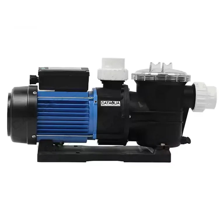 Custom 1HP Fish Tank Water Pump Water Pump High Pressure In RAS System Aquaculture Equipment
Custom 1HP Fish Tank Water Pump Water Pump High Pressure In RAS System Aquaculture Equipment