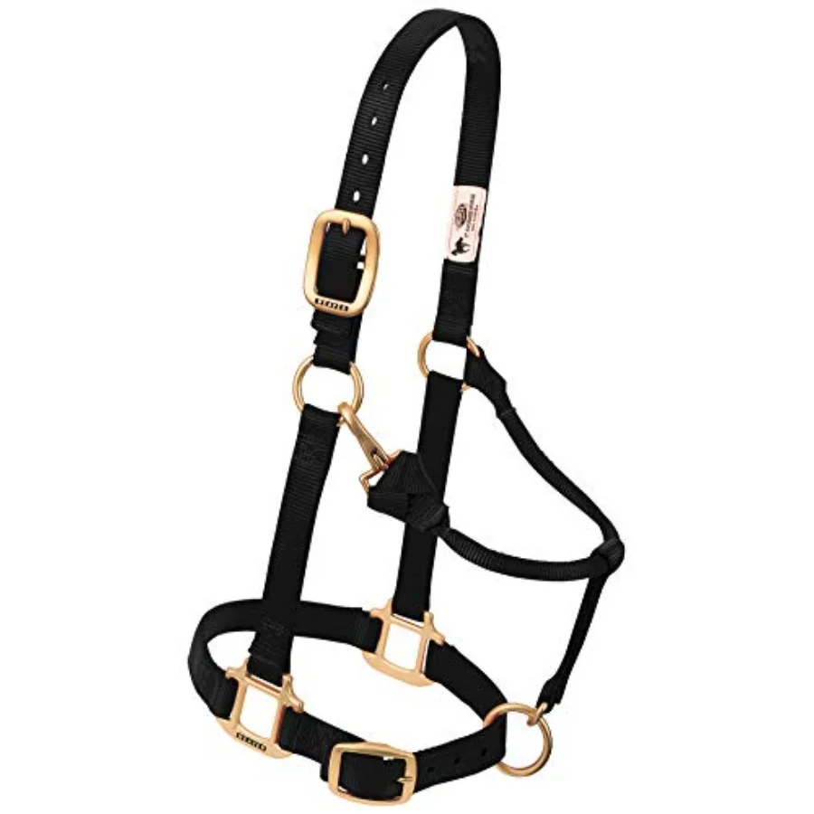 Horse halter for outdoor use nylon material black color adjustable fit with durable hardware
Horse halter for outdoor use nylon material black color adjustable fit with durable hardware