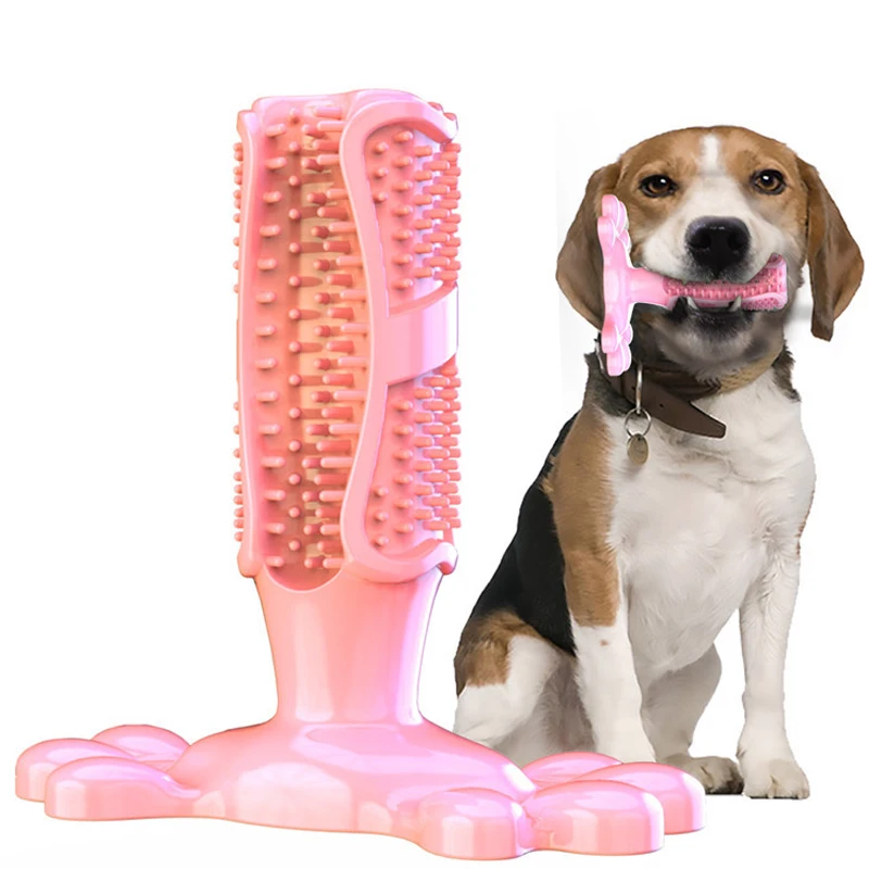Cuttie Dog Toys for Large Dogs Toothbrush Squeak Toys for Small Dogs Puppy Squeaky Chew Toy Teeth Cleaning Supply Pet Products
Cuttie Dog Toys for Large Dogs Toothbrush Squeak Toys for Small Dogs Puppy Squeaky Chew Toy Teeth Cleaning Supply Pet Products