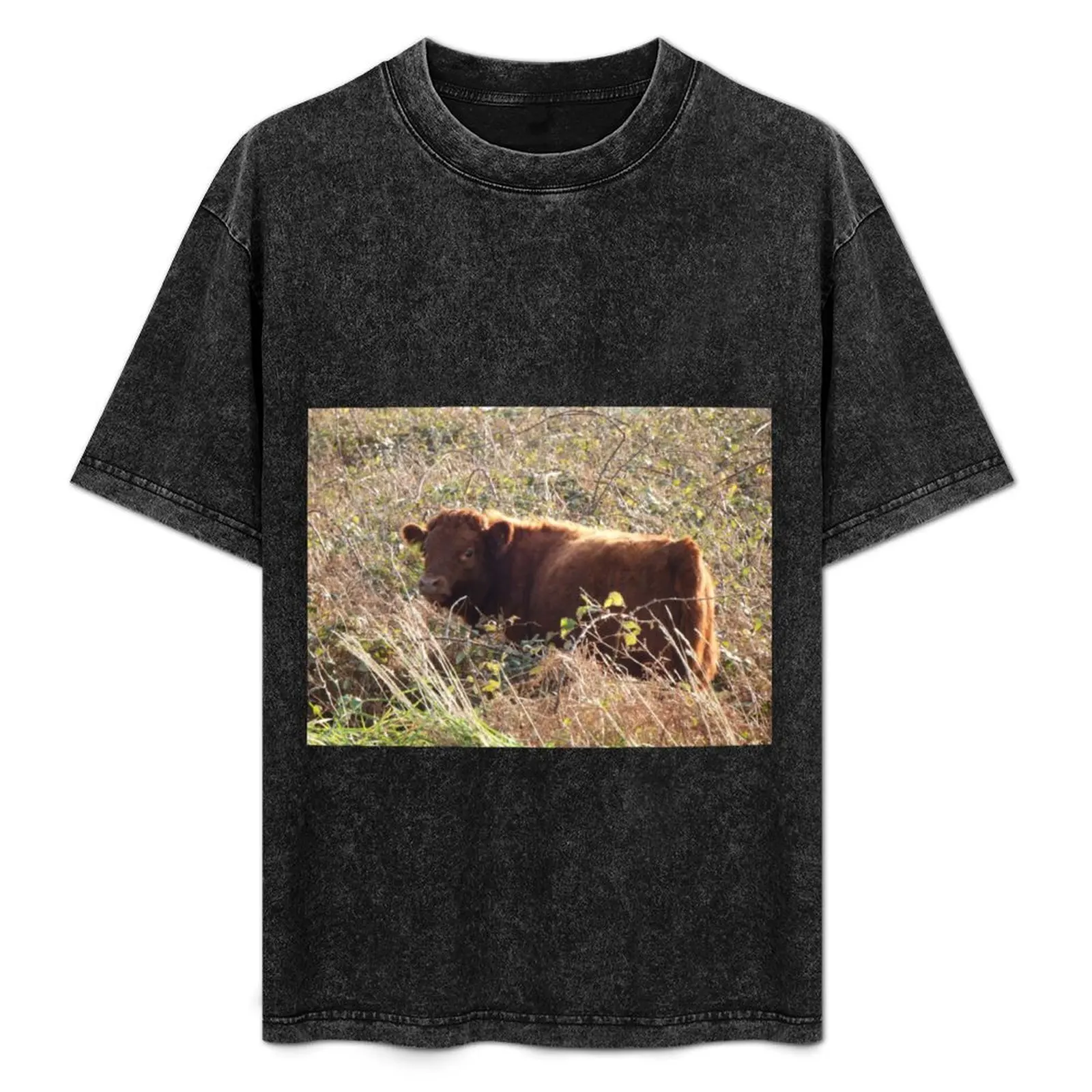 Dexter Cow T-Shirt High Elasticity Sports Tee Shirt
Dexter Cow T-Shirt High Elasticity Sports Tee Shirt