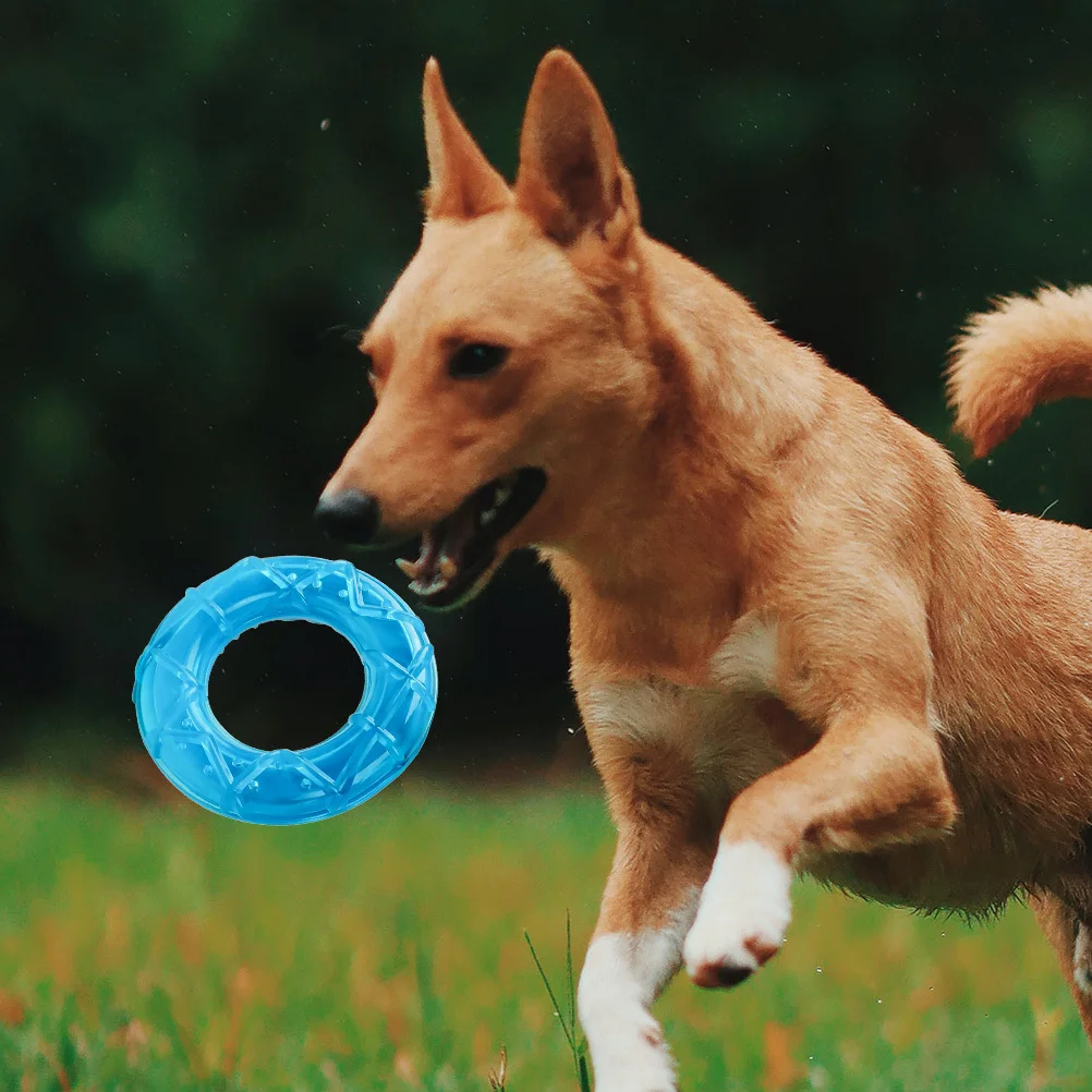 Pet Teether Cooling Chew Freezable Chewing Relief for Puppies Summer Dog Chewing Aid Pet Teether Cooling Chew
Pet Teether Cooling Chew Freezable Chewing Relief for Puppies Summer Dog Chewing Aid Pet Teether Cooling Chew