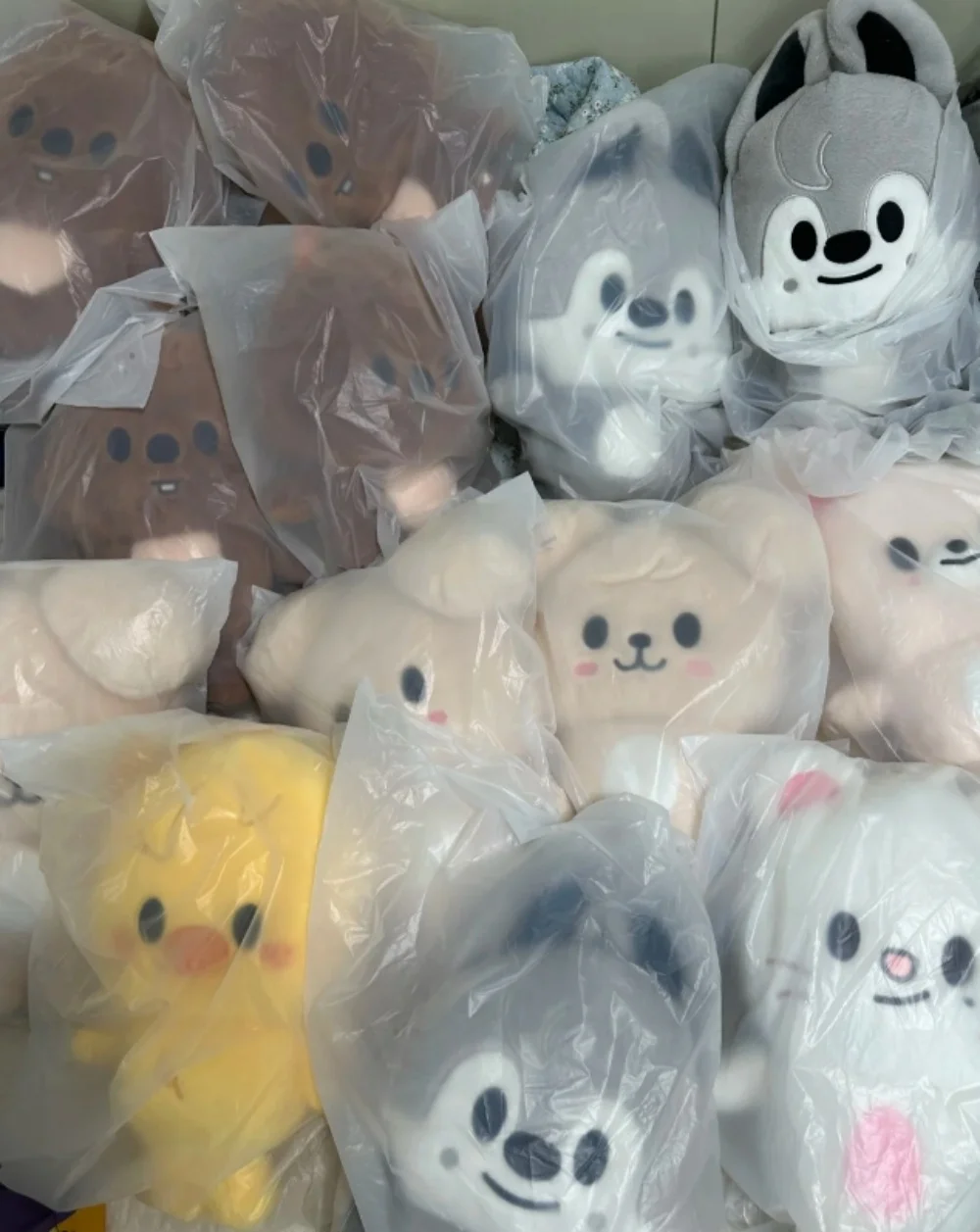 New SKZOO Backpack Plush Doll STRAY KIDS Peripherals Kpop Stuffed Animal Wolf Bear Foxes Duck Birthday Fan Collectible Gift
New SKZOO Backpack Plush Doll STRAY KIDS Peripherals Kpop Stuffed Animal Wolf Bear Foxes Duck Birthday Fan Collectible Gift