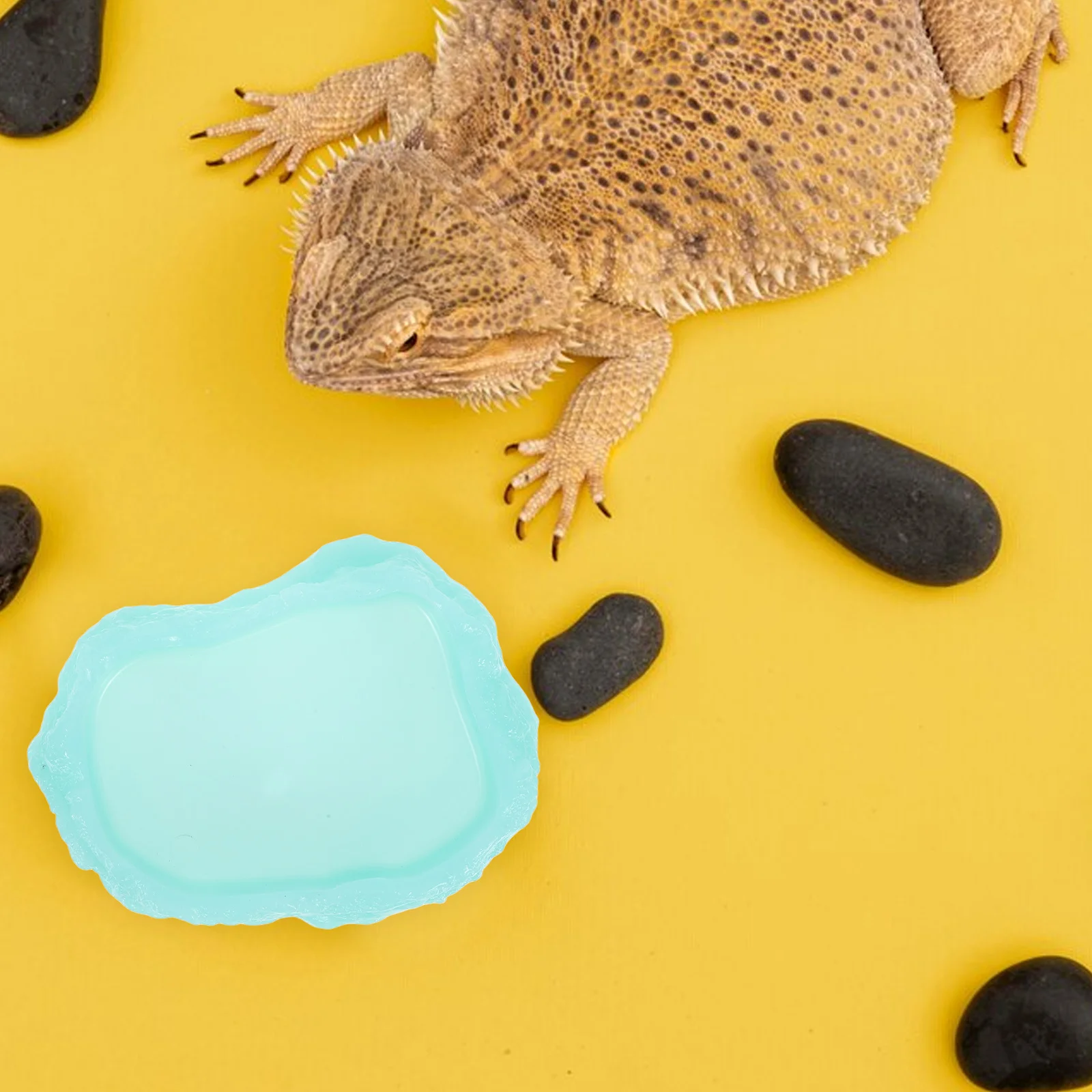 Luminous Resin Bowl Durable Water Dish Large Tray Reptile Cage Turtle Snake Tank Accessory Pet Supplies Wear
Luminous Resin Bowl Durable Water Dish Large Tray Reptile Cage Turtle Snake Tank Accessory Pet Supplies Wear