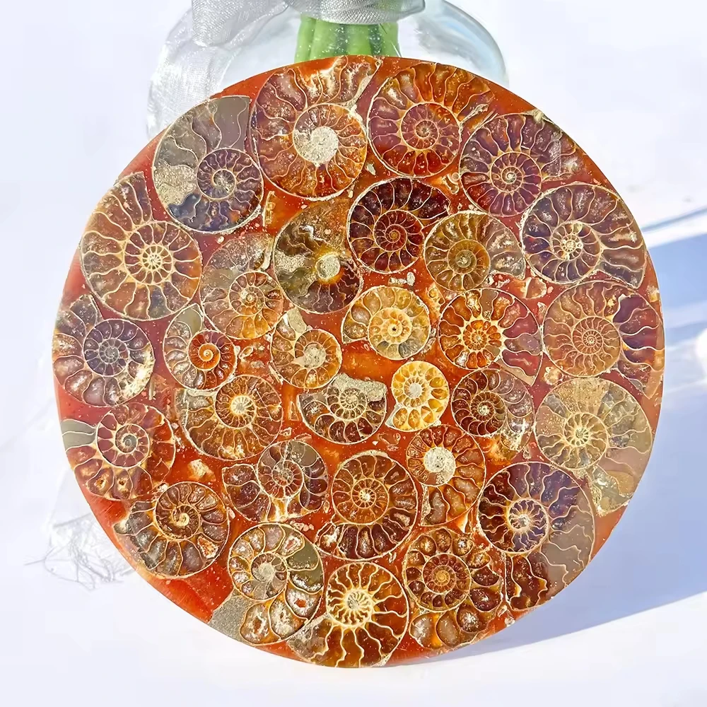 Декоративный диск из редкого натурального окаменелого раковинного обсидиана, 11-13 см, резные изделия, украшение для офиса и дома, декор для праздничных мероприятий
Декоративный диск из редкого натурального окаменелого раковинного обсидиана, 11-13 см, резные изделия, украшение для офиса и дома, декор для праздничных мероприятий