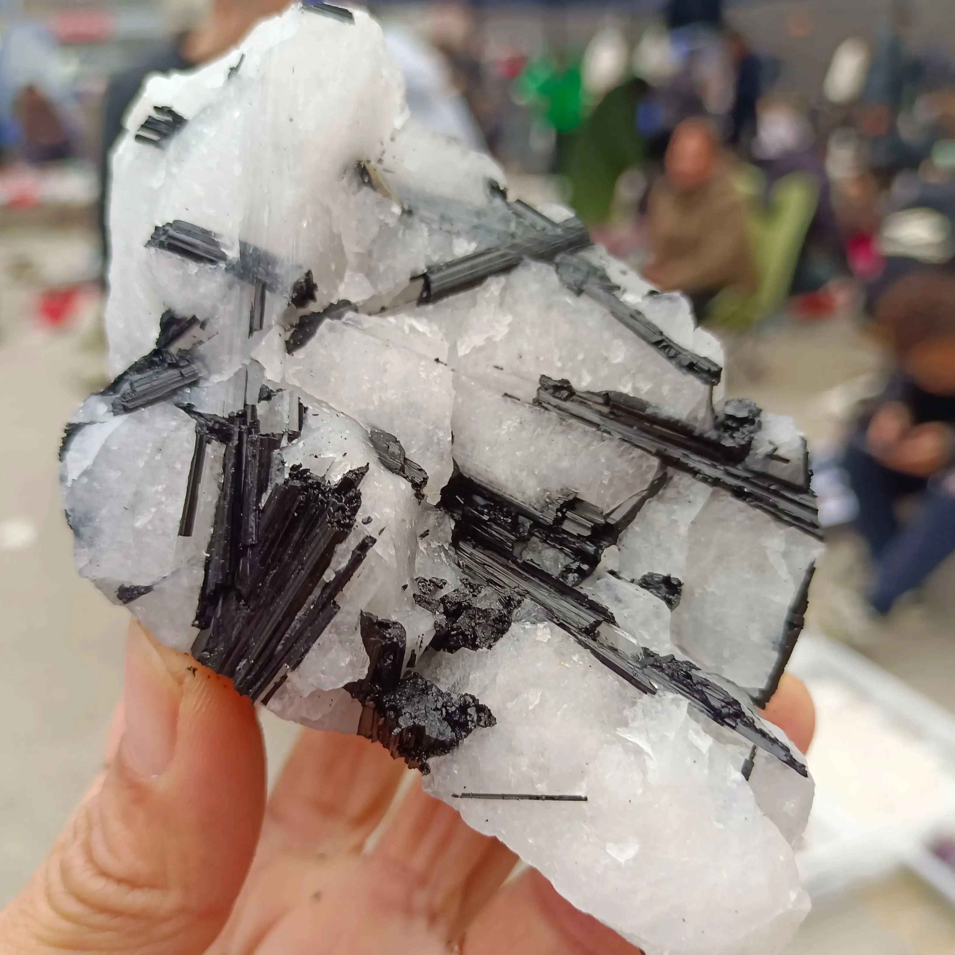 Natural Formed!Black Tourmaline And Quartz Coexist, Quartz Crystal Tourmaline Ore, Mineral, Spiritual Energy, Healing Stone
Natural Formed!Black Tourmaline And Quartz Coexist, Quartz Crystal Tourmaline Ore, Mineral, Spiritual Energy, Healing Stone
