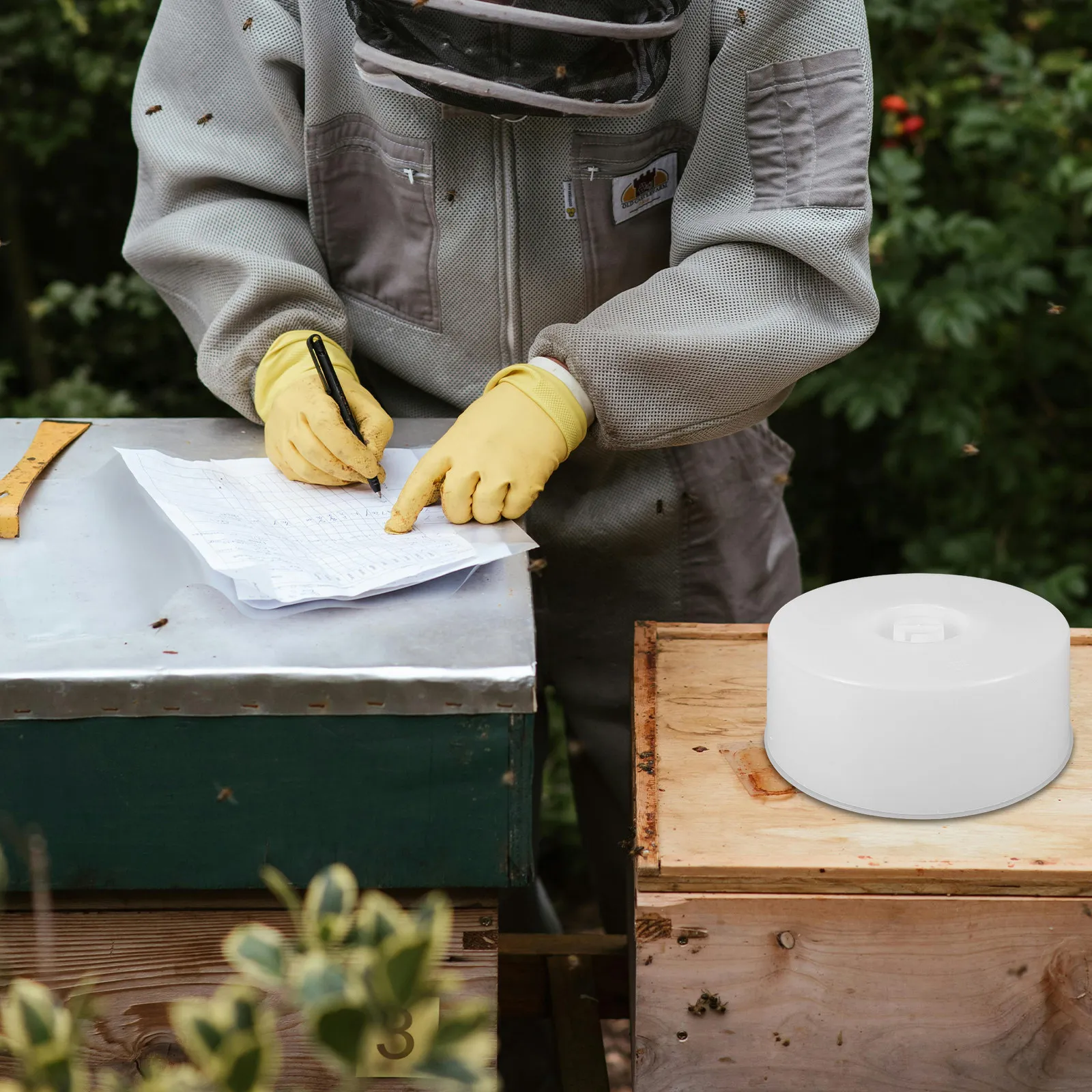 Bee Water Feeder Compact Beehive Entrance Feeder Easy Clean Bee Watering Tool Efficient Beekeeping Supplies Beekeeping Tools
Bee Water Feeder Compact Beehive Entrance Feeder Easy Clean Bee Watering Tool Efficient Beekeeping Supplies Beekeeping Tools
