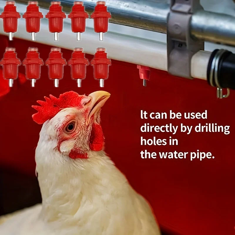 50pcs/25pcs/10pcs, Spring Chicken DrinkerAutomatic Poultry Drinker Nipples for Farm Buckets and Hoses
50pcs/25pcs/10pcs, Spring Chicken DrinkerAutomatic Poultry Drinker Nipples for Farm Buckets and Hoses