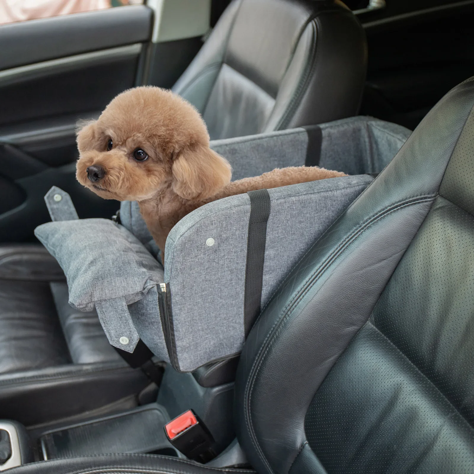Puppy Cat Bed for Car Portable Dog Bed Travel Dog Carrier Protector for Samll Dogs Safety Car Central Control Pet Seat Chihuahua
Puppy Cat Bed for Car Portable Dog Bed Travel Dog Carrier Protector for Samll Dogs Safety Car Central Control Pet Seat Chihuahua