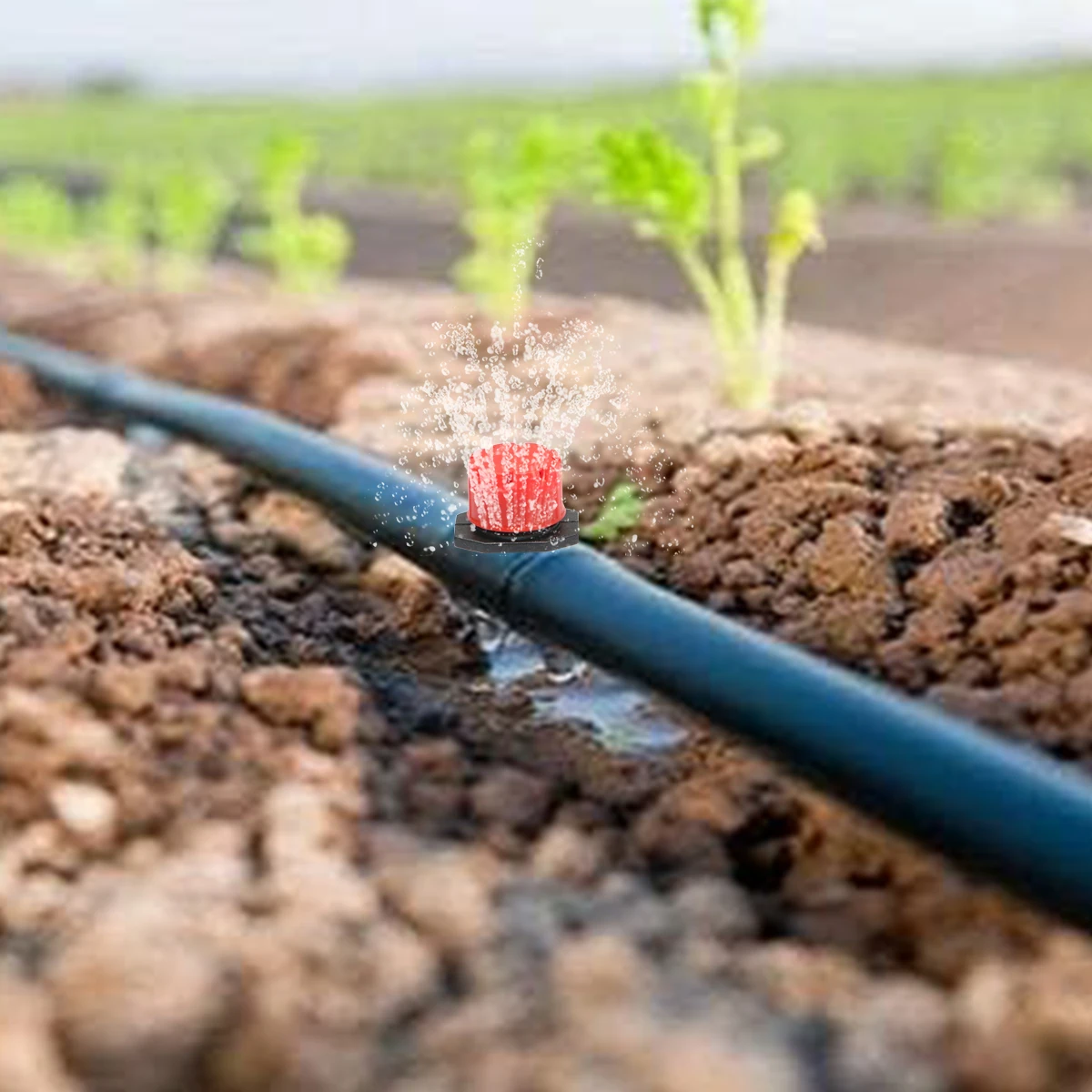 200Pcs Useful Drip Irrigation System Plant Watering Kits Adjustable Drippers For Irrigation Micro Garden Watering System
200Pcs Useful Drip Irrigation System Plant Watering Kits Adjustable Drippers For Irrigation Micro Garden Watering System