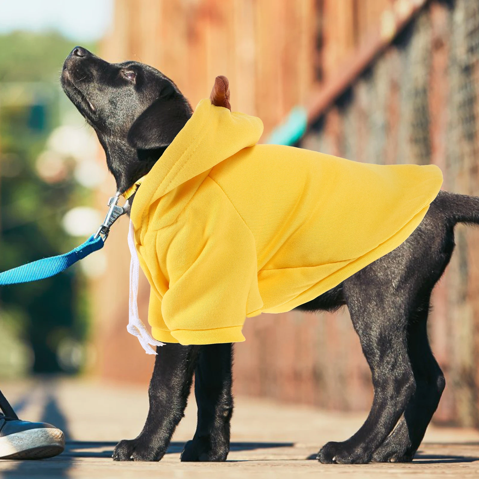 Banana Costume Clothes Small Yellow Coat Party Clothes Outfit Fashion Design Comfortable Outdoor Photo 
Banana Costume Clothes Small Yellow Coat Party Clothes Outfit Fashion Design Comfortable Outdoor Photo