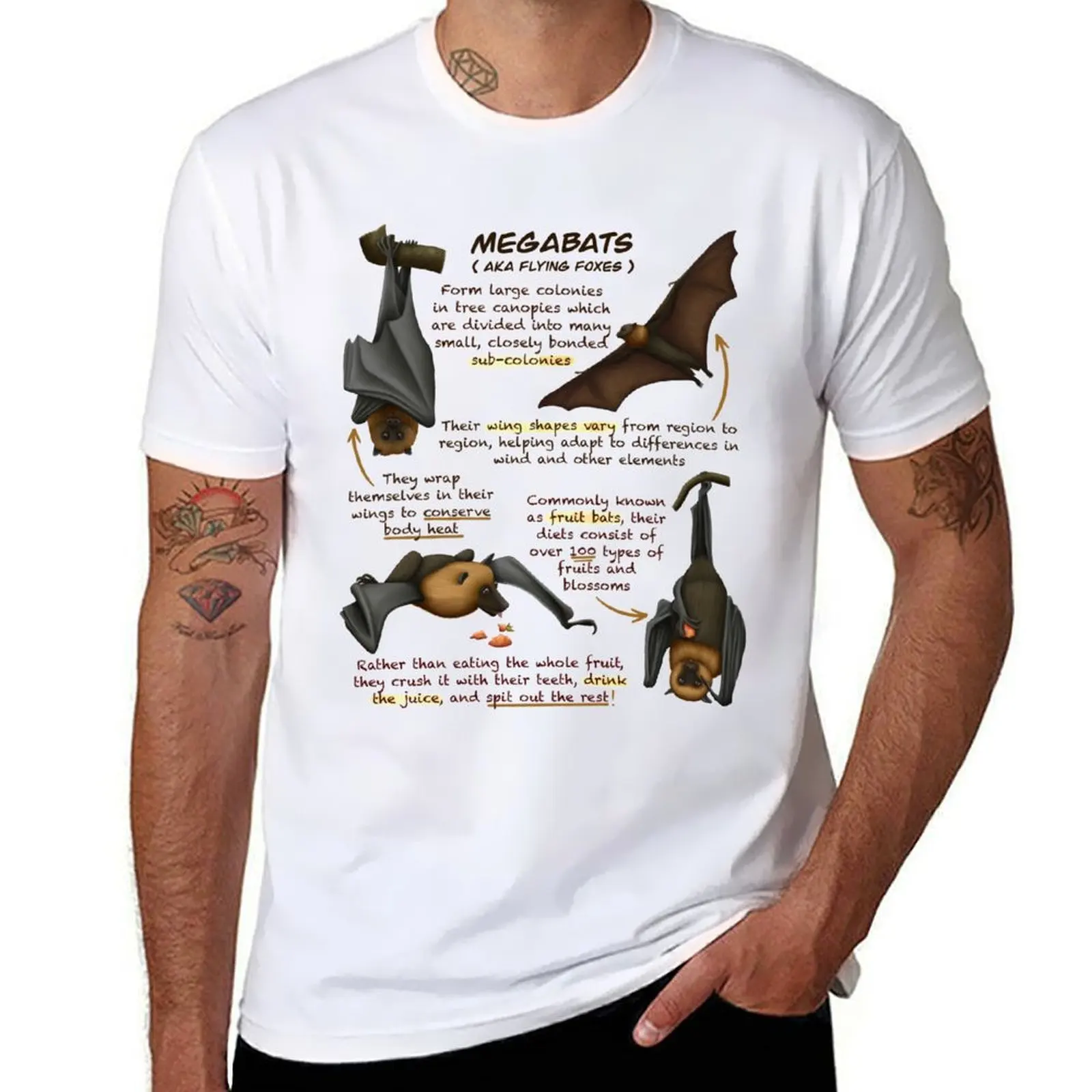 Megabat Fun Animal Fruit Bat Facts T-Shirt t shirt custom print t shirt man luxury T-Shirt
Megabat Fun Animal Fruit Bat Facts T-Shirt t shirt custom print t shirt man luxury T-Shirt