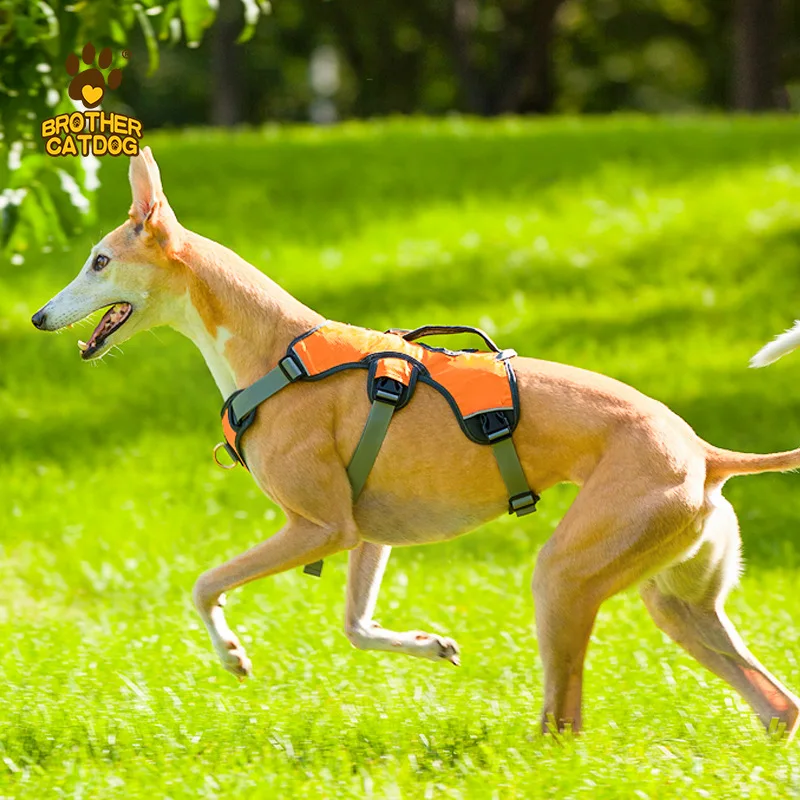 Dog chest and back with handle, explosion-proof punch, soft and comfortable walking rope that can be pulled up
Dog chest and back with handle, explosion-proof punch, soft and comfortable walking rope that can be pulled up