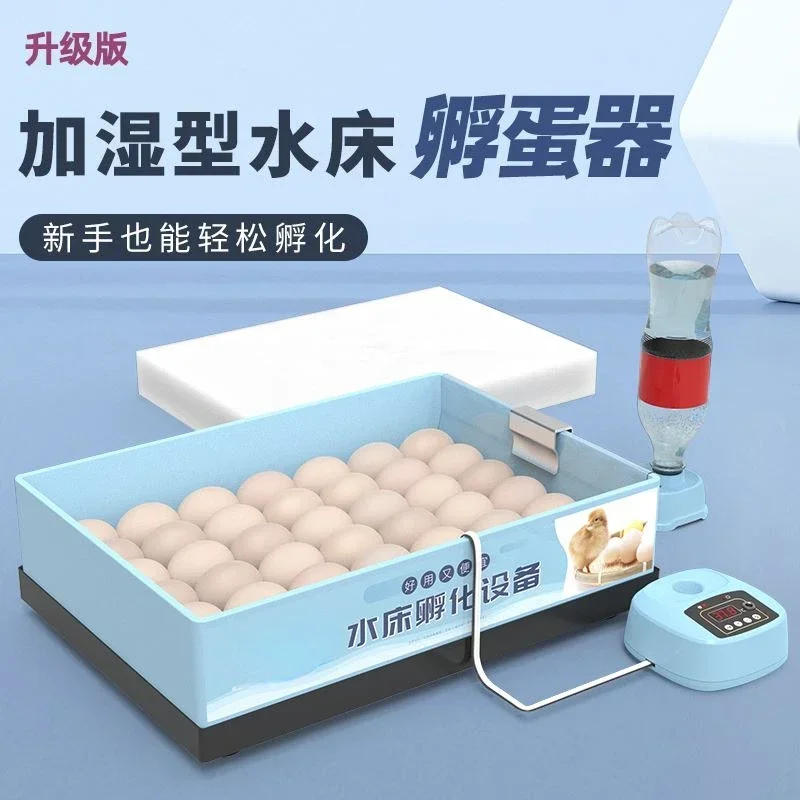 Cross border authentic products Incubator Small Incubator Intelligent Water Bed Constant Temperature Bird Egg Egg Incubator
Cross border authentic products Incubator Small Incubator Intelligent Water Bed Constant Temperature Bird Egg Egg Incubator