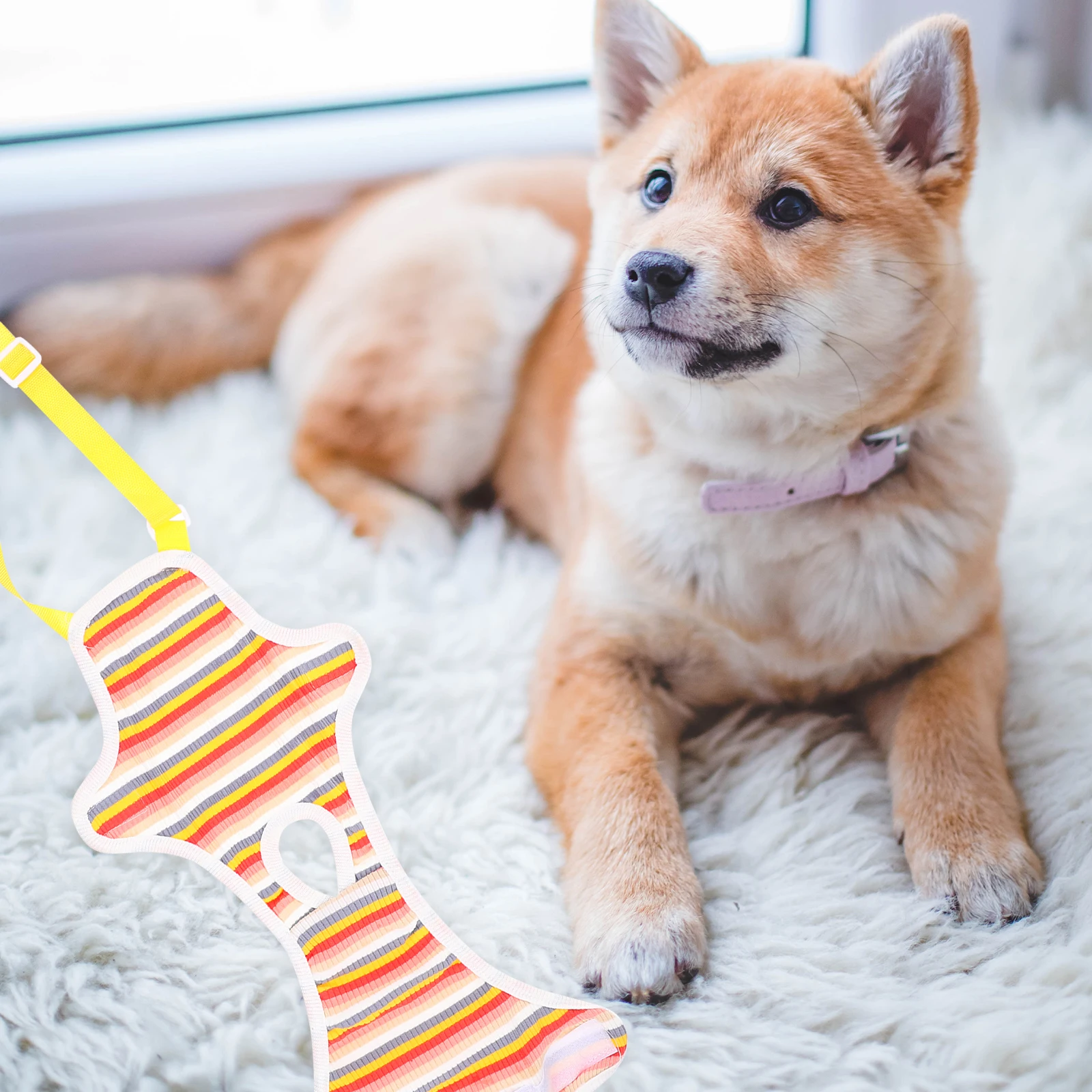 1pc Dog Sanitary Pants Reusable Leakproof Physiological Nappies Female Pet Diapers Puppy Underwear Washable Pet Supplies For 
1pc Dog Sanitary Pants Reusable Leakproof Physiological Nappies Female Pet Diapers Puppy Underwear Washable Pet Supplies For