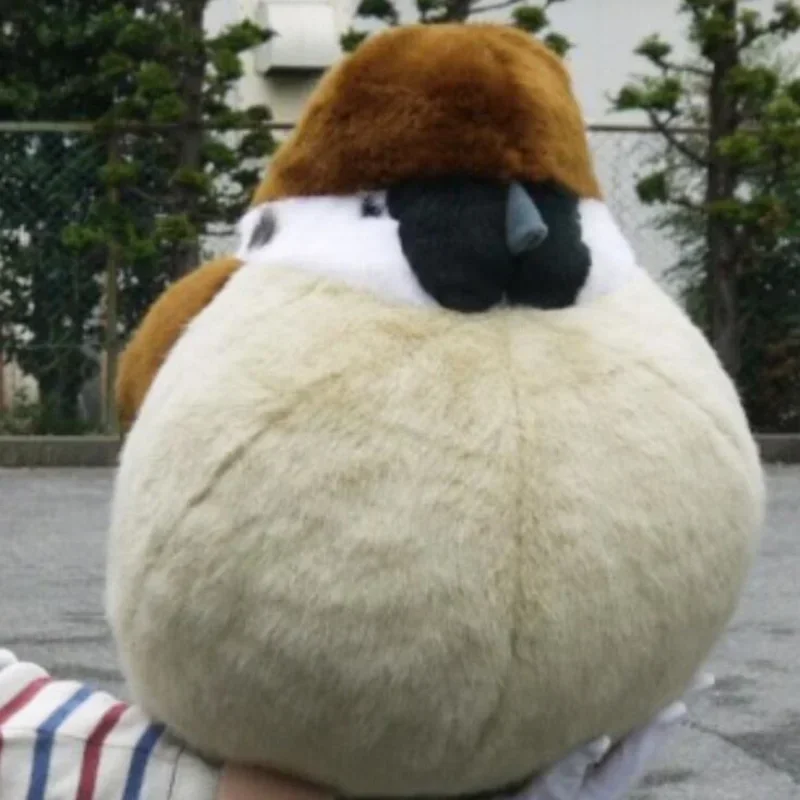 32cm Plush Toys Lifelike Animal Bird Sparrow Stuffed Sparrow Dolls Pillow Kid Children Baby Toys Boys Girls Birthday Gift
32cm Plush Toys Lifelike Animal Bird Sparrow Stuffed Sparrow Dolls Pillow Kid Children Baby Toys Boys Girls Birthday Gift