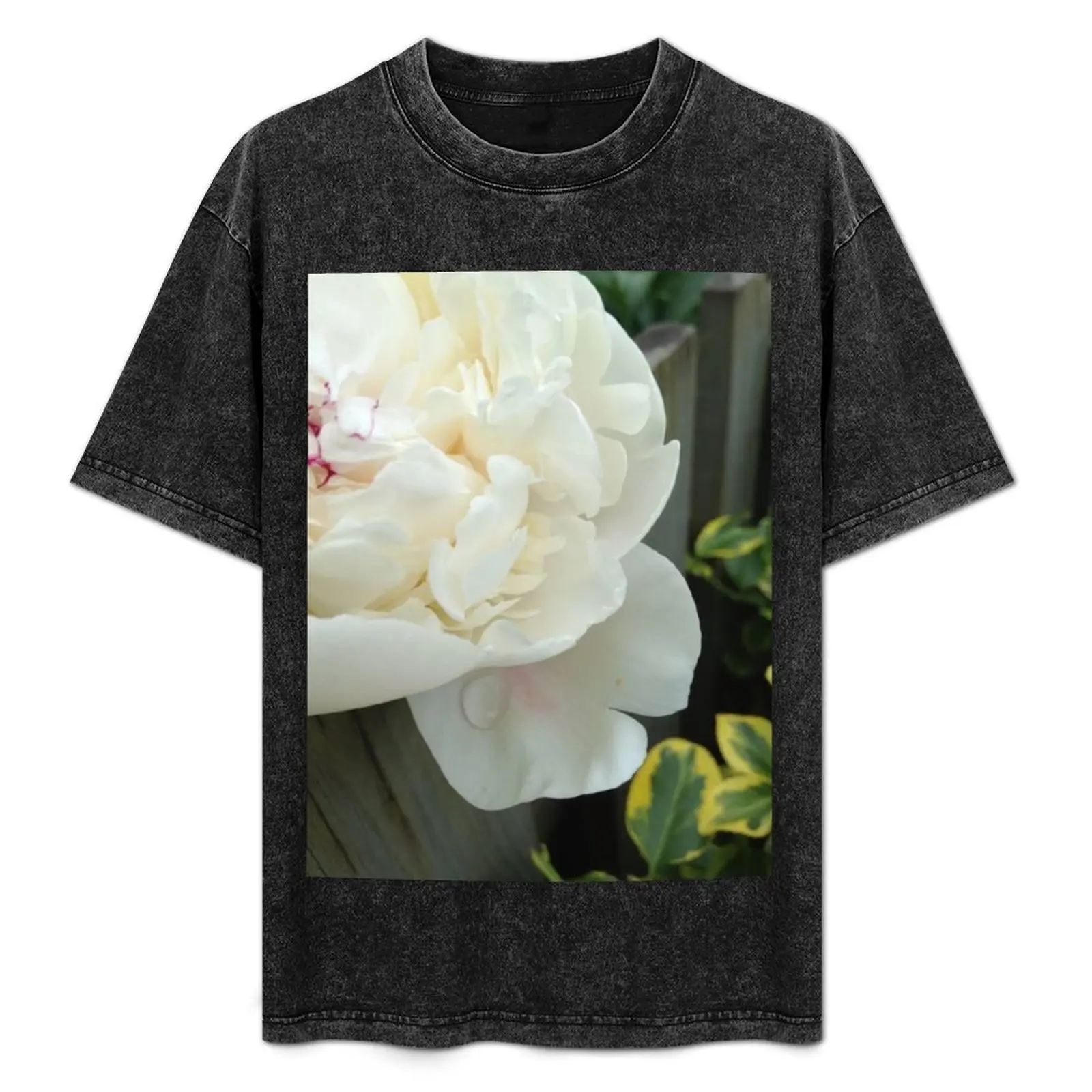 Peony after the rain T-Shirt Casual Trendy Short Sleeve T-Shirt
Peony after the rain T-Shirt Casual Trendy Short Sleeve T-Shirt