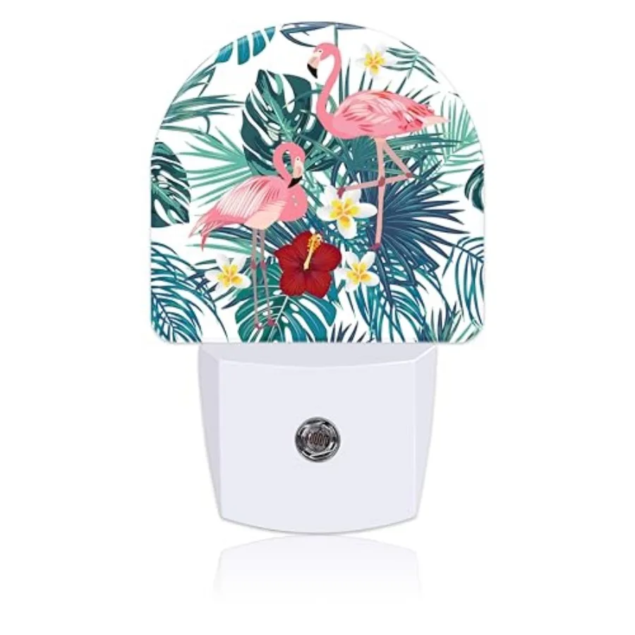 Night Light Plug into Wall with, Dusk to Dawn Sensor for Room Decor, Hallway, Kitchen, Bathroom, Nursery, Stairs
Night Light Plug into Wall with, Dusk to Dawn Sensor for Room Decor, Hallway, Kitchen, Bathroom, Nursery, Stairs