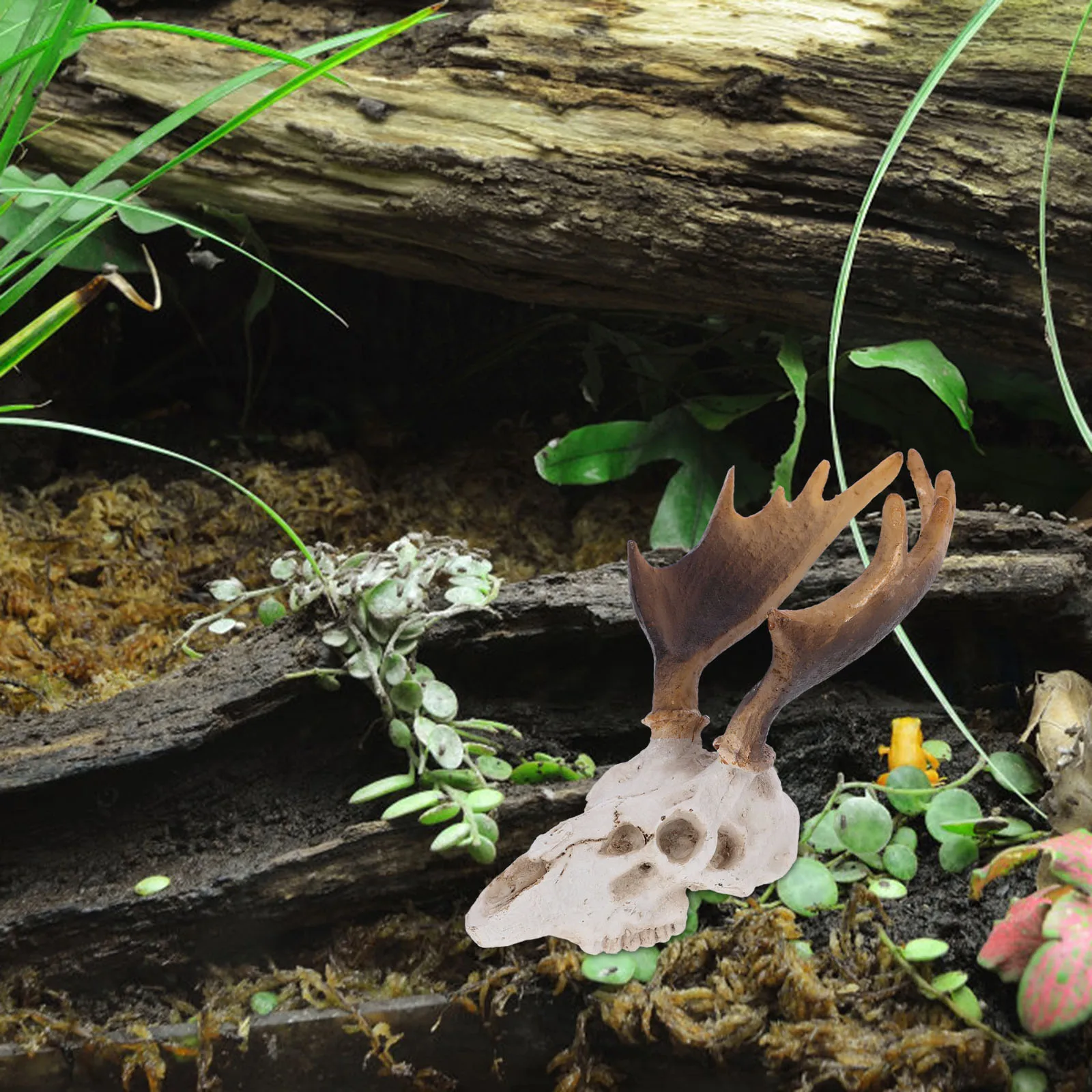Skull Decoration Resin Durable Reptile Tank Aquarium Terrarium Decor Deer Skull Pet Scorpion Cave Hideout Portable Shelter
Skull Decoration Resin Durable Reptile Tank Aquarium Terrarium Decor Deer Skull Pet Scorpion Cave Hideout Portable Shelter