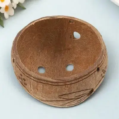 1Pcs Coconut Shell Hanging Plant Pot Mini Succulent Holder Natural Balcony Hanging Basket Garden Accessories Planter Pot
1Pcs Coconut Shell Hanging Plant Pot Mini Succulent Holder Natural Balcony Hanging Basket Garden Accessories Planter Pot