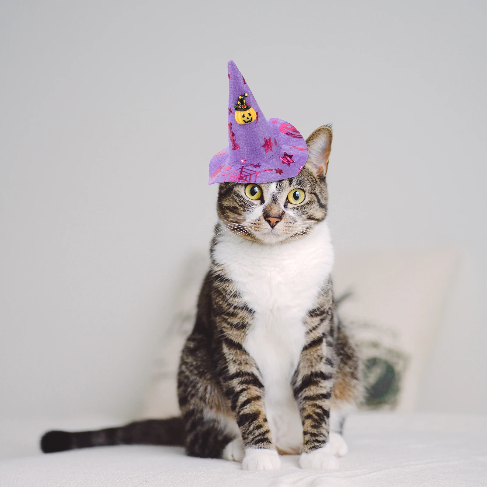 Witch Hat Hairb for Kids Cone Shape Halloween Decorations Purple Pumpkin Design Party Supplies Outdoor Accessories
Witch Hat Hairb for Kids Cone Shape Halloween Decorations Purple Pumpkin Design Party Supplies Outdoor Accessories