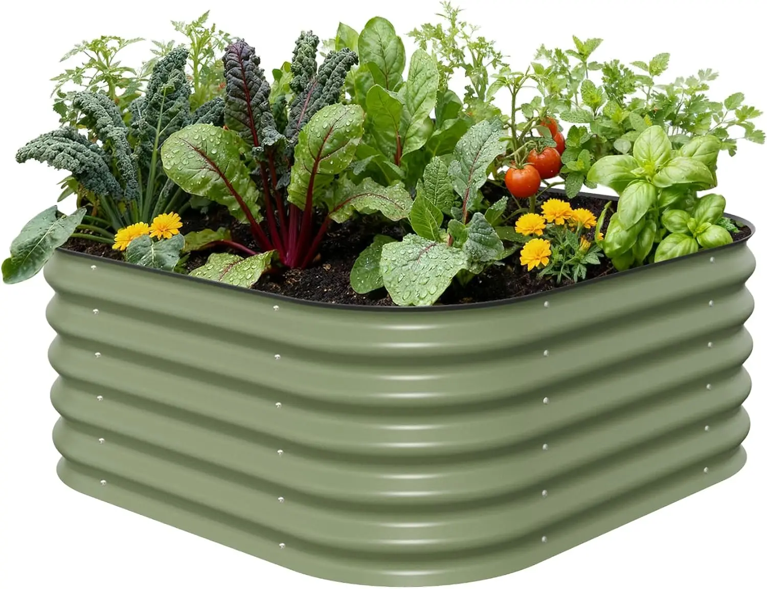 17" tall Metal Raised Garden Bed Planter Box for Plants, Vegetables, Flowers, Herbs
17" tall Metal Raised Garden Bed Planter Box for Plants, Vegetables, Flowers, Herbs