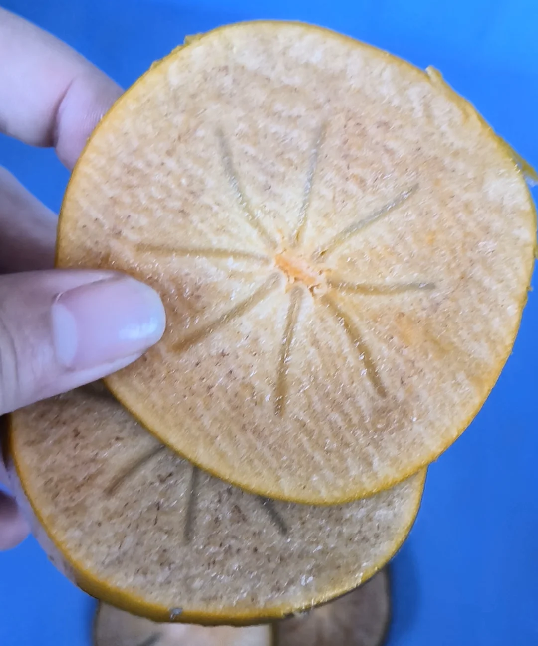 Industrial Automatic Cutter Slicing Shreeding Dicing Fruit and Vegetable Chips Chopper Slicer Dicer Machine
Industrial Automatic Cutter Slicing Shreeding Dicing Fruit and Vegetable Chips Chopper Slicer Dicer Machine