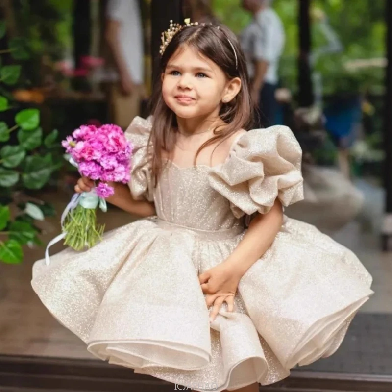 Party Dress 2025 Vestido Children French Puff Sleeve Clothes Kids FashionWedding Flower Girl Outfit Princess Tutu Gown Costume
Party Dress 2025 Vestido Children French Puff Sleeve Clothes Kids FashionWedding Flower Girl Outfit Princess Tutu Gown Costume
