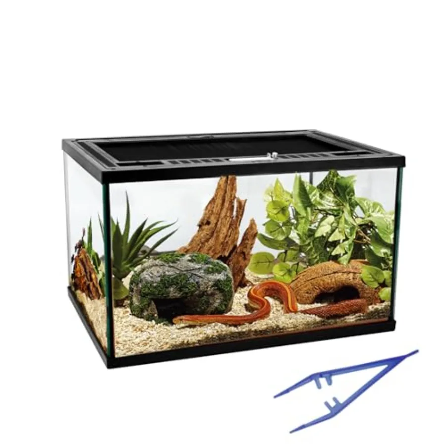 【Spot goods】Reptile Glass Tank 16"x11"x9" Terrarium with Top Opening and Screen Ventilation for Leopard GeckoLizard Hermit Crab
【Spot goods】Reptile Glass Tank 16"x11"x9" Terrarium with Top Opening and Screen Ventilation for Leopard GeckoLizard Hermit Crab