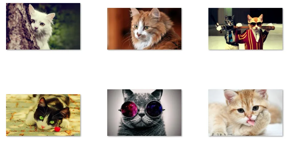 10Style Choose Cool Cat Canvas POSTER ,Home Decor Wall art painting
10Style Choose Cool Cat Canvas POSTER ,Home Decor Wall art painting