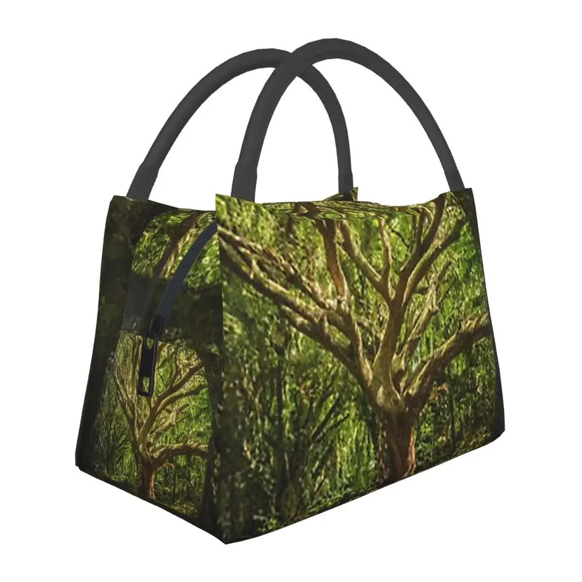 Magic Green Tree Lunch Bags Insulated Bento Box Waterproof Lunch Tote Picnic Bags Cooler Thermal Bag for Woman Children Travel
Magic Green Tree Lunch Bags Insulated Bento Box Waterproof Lunch Tote Picnic Bags Cooler Thermal Bag for Woman Children Travel