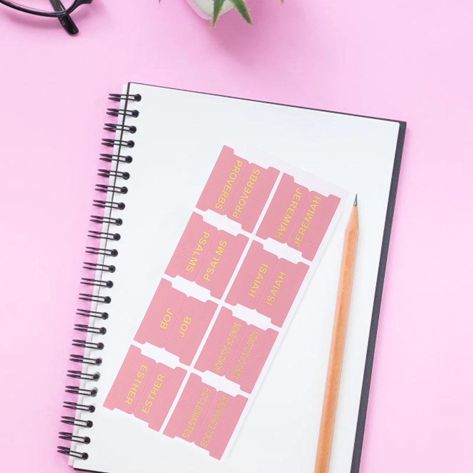 PU Bible 66 Indexes 14 Blanks Labels Bible Tabs For Women for Women Men Students Bookmark Markers Notebook Pages
PU Bible 66 Indexes 14 Blanks Labels Bible Tabs For Women for Women Men Students Bookmark Markers Notebook Pages