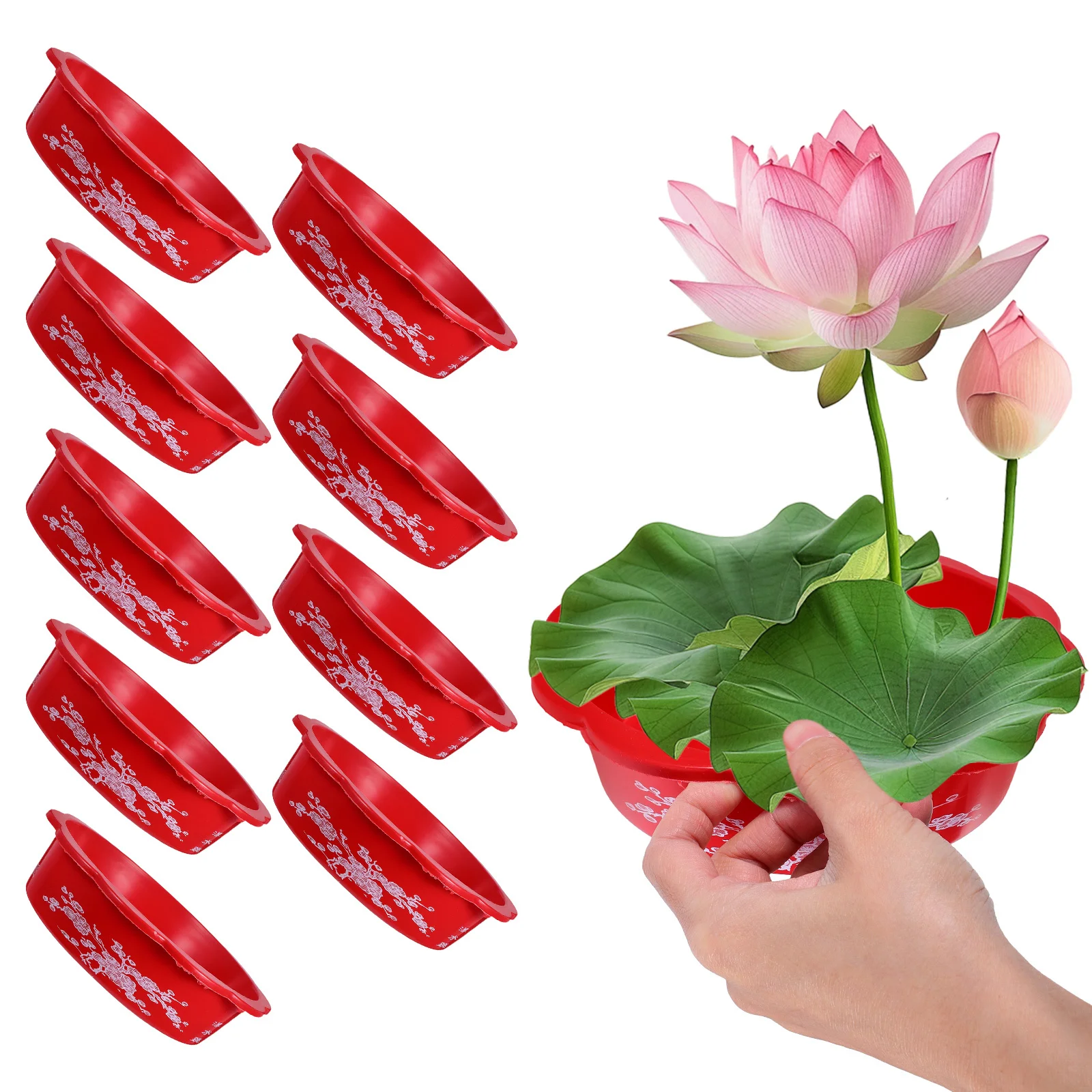 10Pcs Hydroponic Planter Pot Water Lilies Lotus Narcissus Bowl Indoor Outdoor Decorative Flower Container Garden Home Use
10Pcs Hydroponic Planter Pot Water Lilies Lotus Narcissus Bowl Indoor Outdoor Decorative Flower Container Garden Home Use
