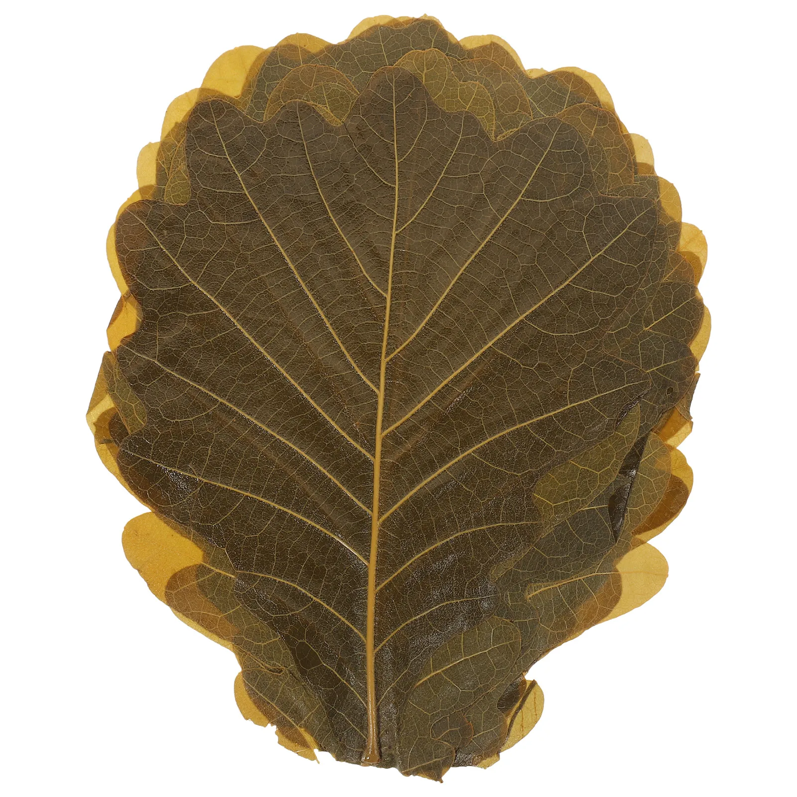 20 Pcs Leaf Decoration Sushi For Sashimi Dish Japanese Food Decorations Plant Decors Serving
20 Pcs Leaf Decoration Sushi For Sashimi Dish Japanese Food Decorations Plant Decors Serving