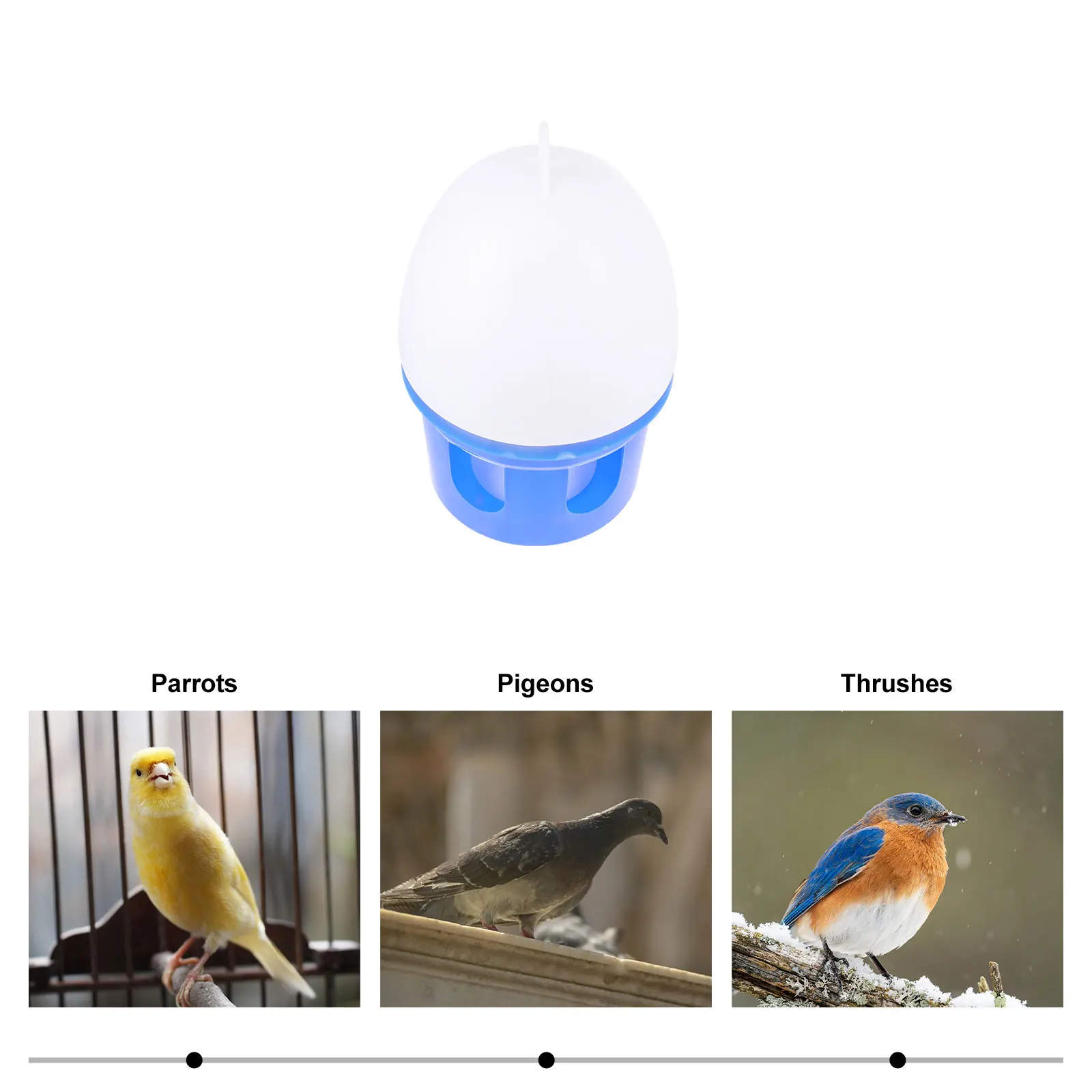 Pigeon Drinker Birds Feeder Nutrition & Watering Supplies Feeders Drinking Fountains for Pigeons and Pet Cup Parrots
Pigeon Drinker Birds Feeder Nutrition & Watering Supplies Feeders Drinking Fountains for Pigeons and Pet Cup Parrots