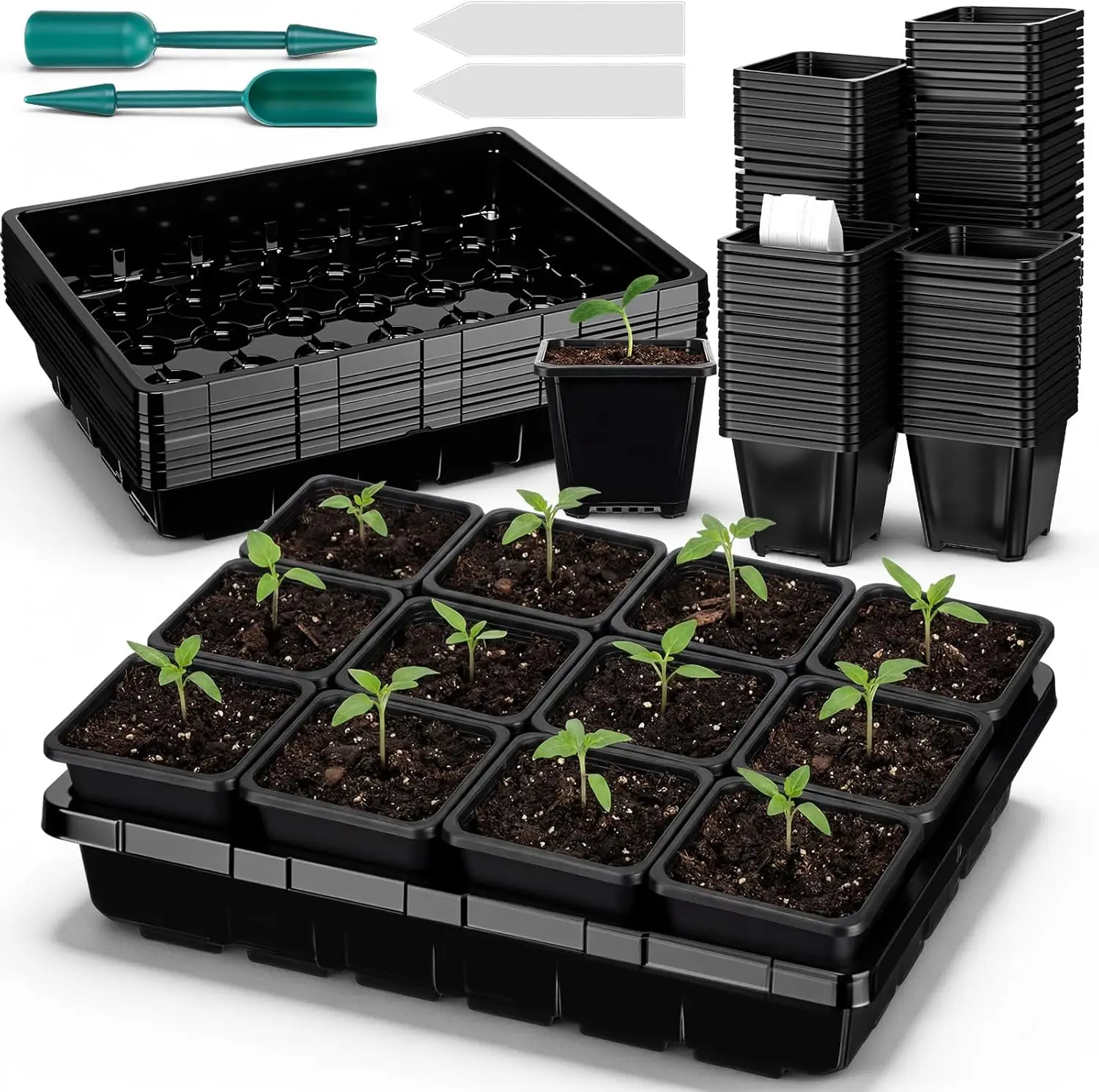 Seed Starter Tray 6 Pcs, 3.5 Inch Square Nursery Pots 72 Pcs, Seed Starting Pot with Drainage, Seedling Trays, Microgree
Seed Starter Tray 6 Pcs, 3.5 Inch Square Nursery Pots 72 Pcs, Seed Starting Pot with Drainage, Seedling Trays, Microgree