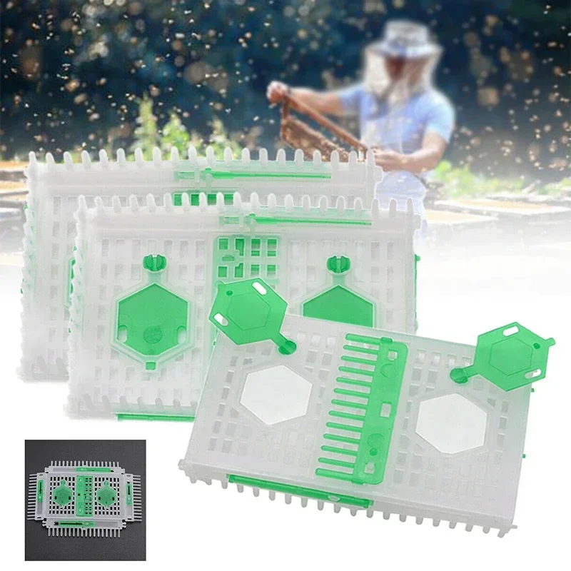 Plastic Needle Cage for Beekeepers, Essential Beekeeping Appliance, Arrests 2 Queens, Ensures Queen Control and Hive Health
Plastic Needle Cage for Beekeepers, Essential Beekeeping Appliance, Arrests 2 Queens, Ensures Queen Control and Hive Health