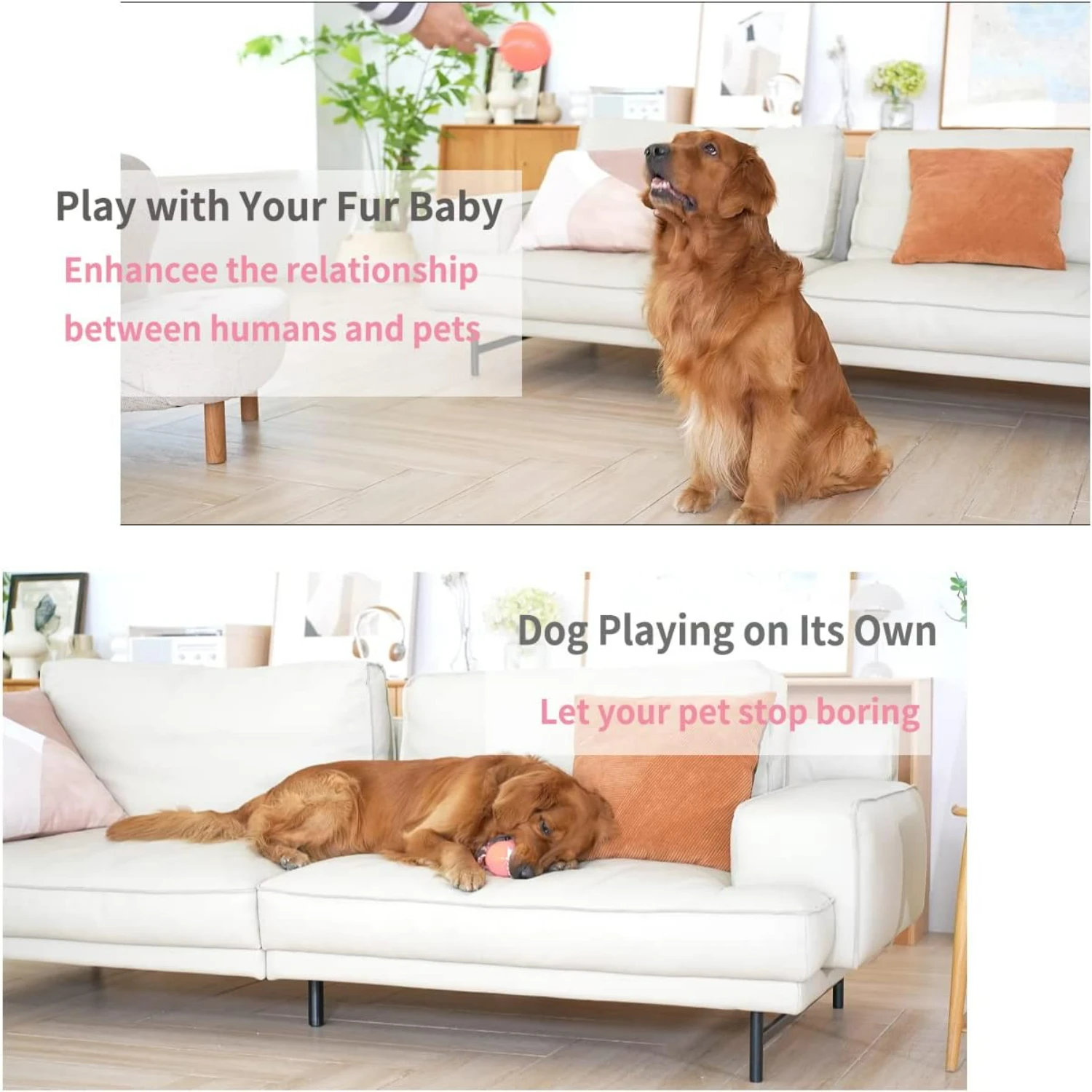 Engaging Interactive Dog Toys Ball with Remote Control, Active Wicked Automatic Rolling Bouncing Dog Ball with Light, Fun 2 Mode
Engaging Interactive Dog Toys Ball with Remote Control, Active Wicked Automatic Rolling Bouncing Dog Ball with Light, Fun 2 Mode