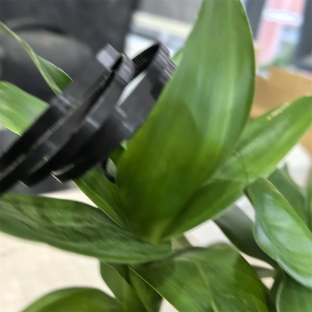 10pcs Paper feed belt for EPSON C5210 C5290 C5299 C5710 C5790 C579 ET-8700 M5299 M5799 WF-3540 WF-3620
10pcs Paper feed belt for EPSON C5210 C5290 C5299 C5710 C5790 C579 ET-8700 M5299 M5799 WF-3540 WF-3620