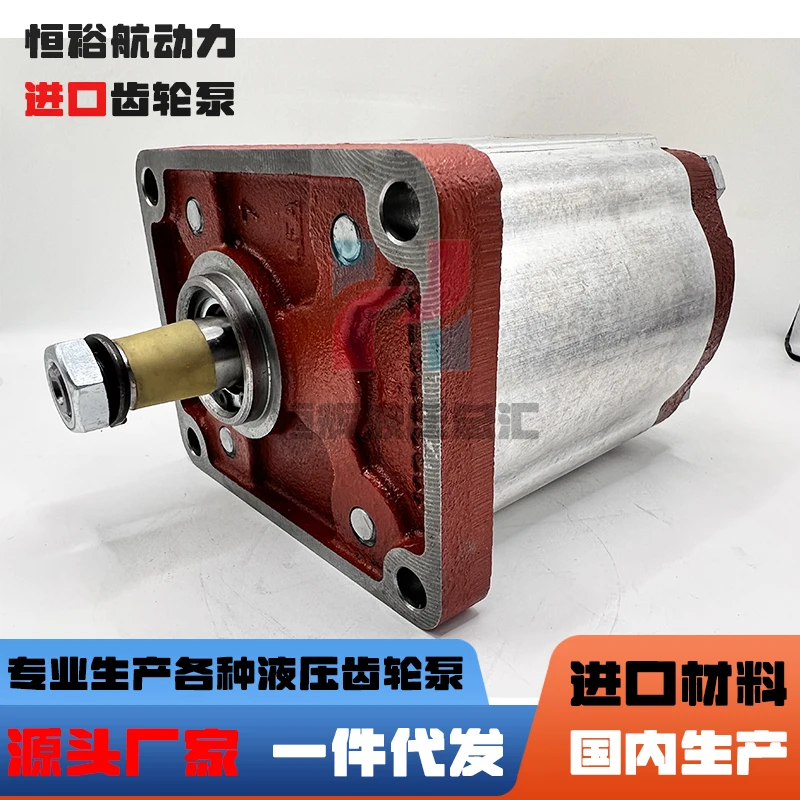 Oil pump SALAMI gear pump 2PE26D-P28P1-V-VS40 2PE6.5D-P28 hydraulic pump
Oil pump SALAMI gear pump 2PE26D-P28P1-V-VS40 2PE6.5D-P28 hydraulic pump