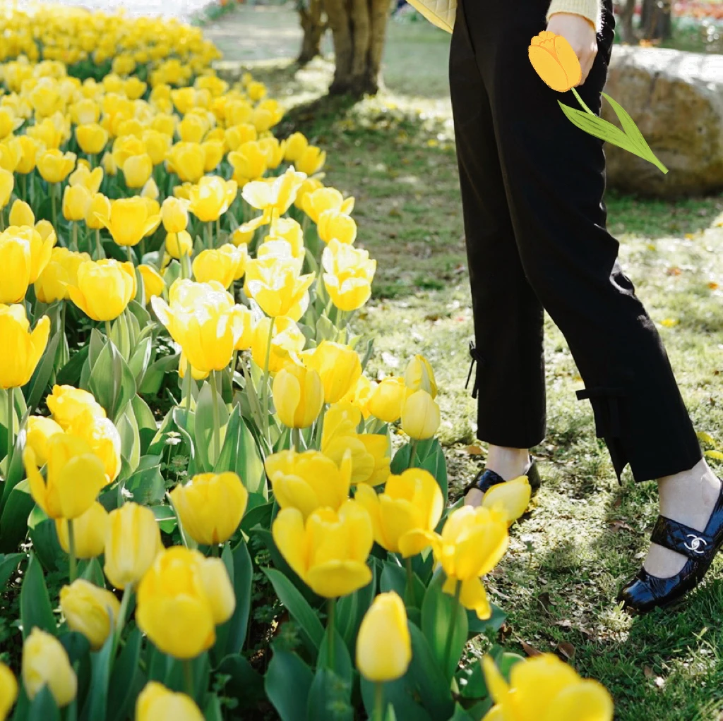 RaisinStudio Knot Slit Casual Pants Bla Slim Long Trousers Women's Faion l Waist Polyester Blend
RaisinStudio Knot Slit Casual Pants Bla Slim Long Trousers Women's Faion l Waist Polyester Blend