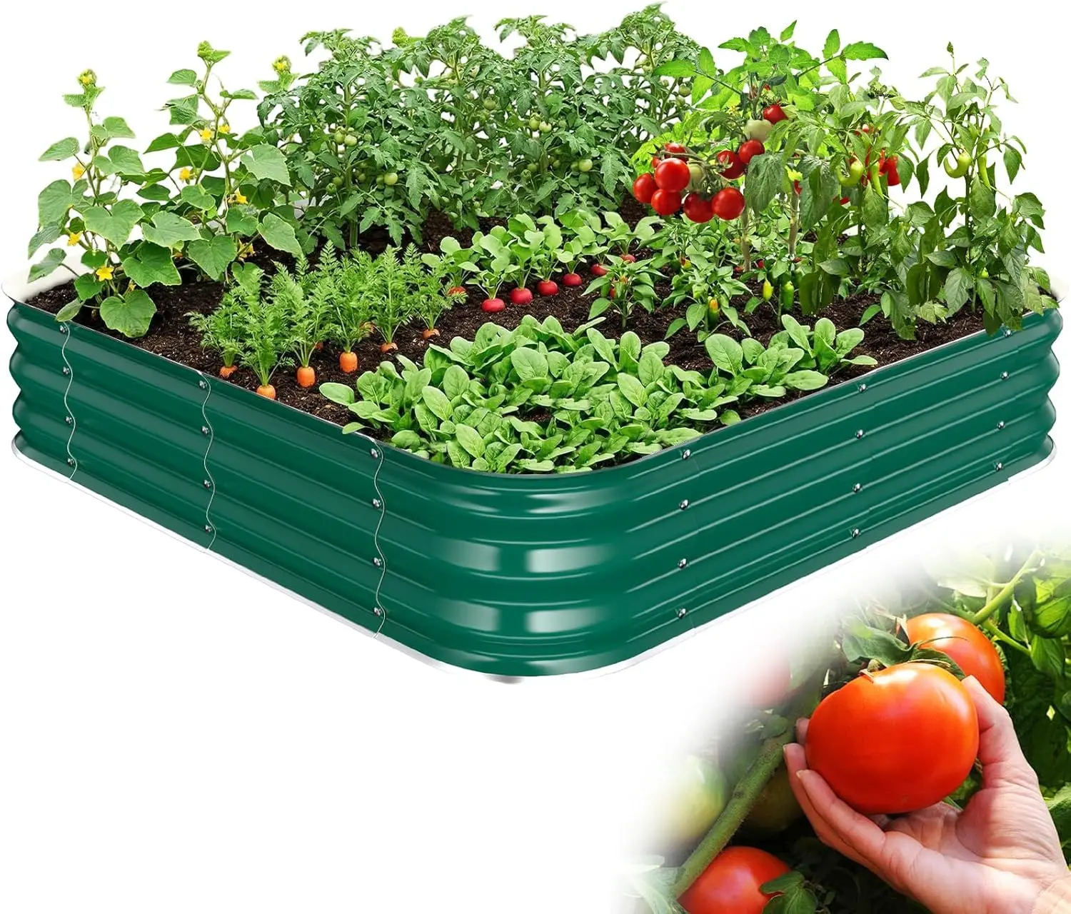Galvanized Raised Garden Bed, 4x4x1ft Large Square Metal Planter Box for Vegetables, Flowers, Herbs, Modular Easy Assembly
Galvanized Raised Garden Bed, 4x4x1ft Large Square Metal Planter Box for Vegetables, Flowers, Herbs, Modular Easy Assembly