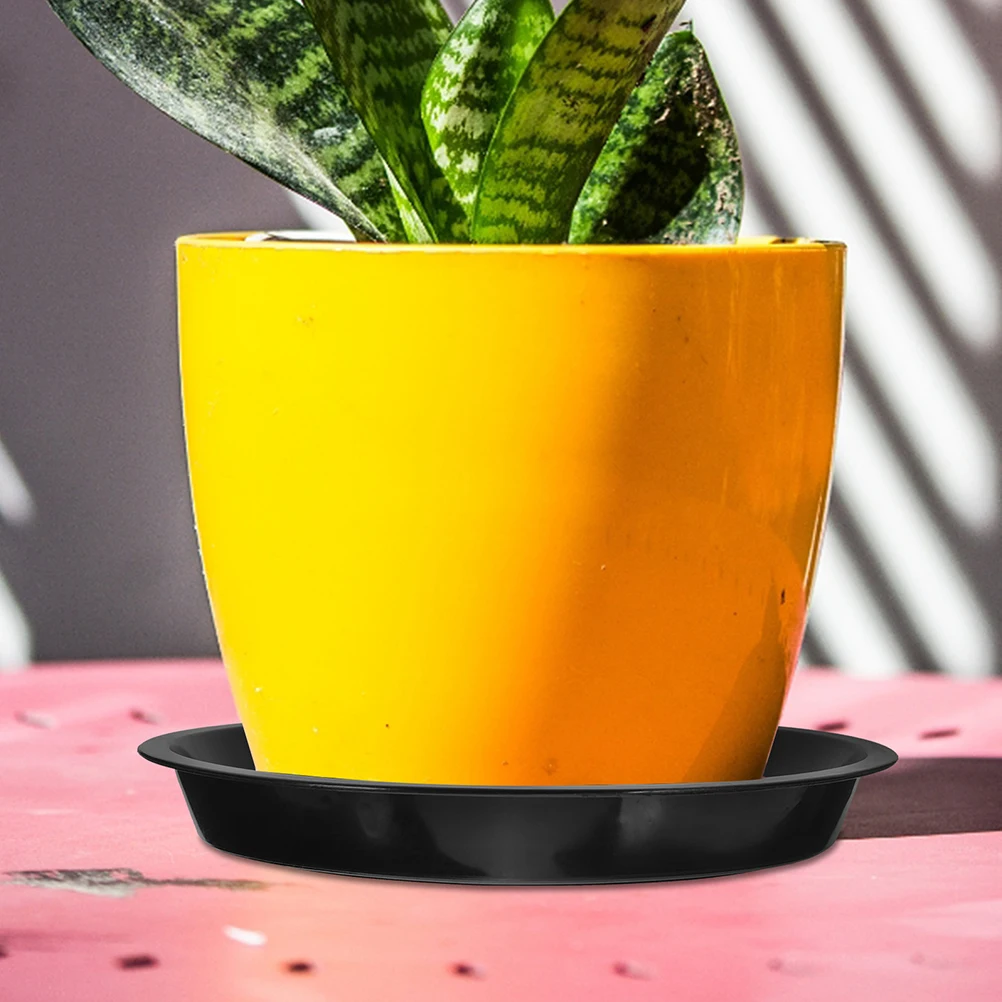 10pcs Round Plant Saucer Durable Plastic Water Catcher For Flowerpots Leak Proof Drainage Tray Indoor Garden Accessories Bonsai 
10pcs Round Plant Saucer Durable Plastic Water Catcher For Flowerpots Leak Proof Drainage Tray Indoor Garden Accessories Bonsai