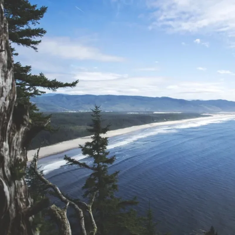 iFlight XING-E 2809 Motor - 1250KV/800KV 4-6S 5mm Steel Shaft FPV Cinelifter RC Accessory
iFlight XING-E 2809 Motor - 1250KV/800KV 4-6S 5mm Steel Shaft FPV Cinelifter RC Accessory