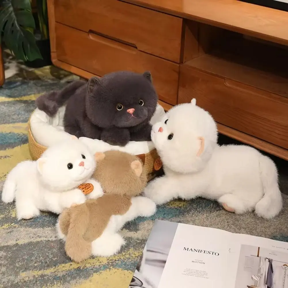 Stuffed Doll Simulation Cat Plush Toys Collection Soft Cartoon Plush Animal Doll Comfort Cute Animal Cartoon Kitty Dolls
Stuffed Doll Simulation Cat Plush Toys Collection Soft Cartoon Plush Animal Doll Comfort Cute Animal Cartoon Kitty Dolls