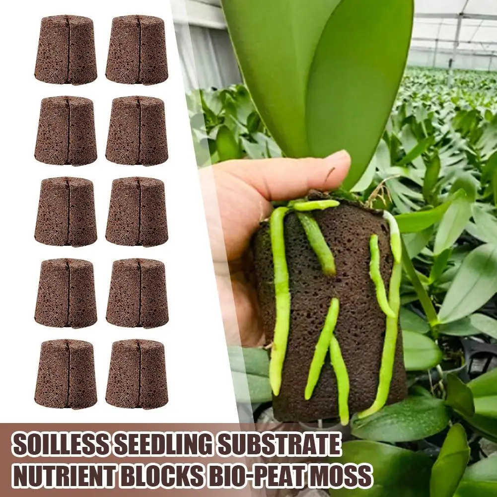 20/40pcs Hydroponic Growing Sponges Peat Moss Seedling Substrate Water Absorption Expansion Root Development Support Garden Tool
20/40pcs Hydroponic Growing Sponges Peat Moss Seedling Substrate Water Absorption Expansion Root Development Support Garden Tool