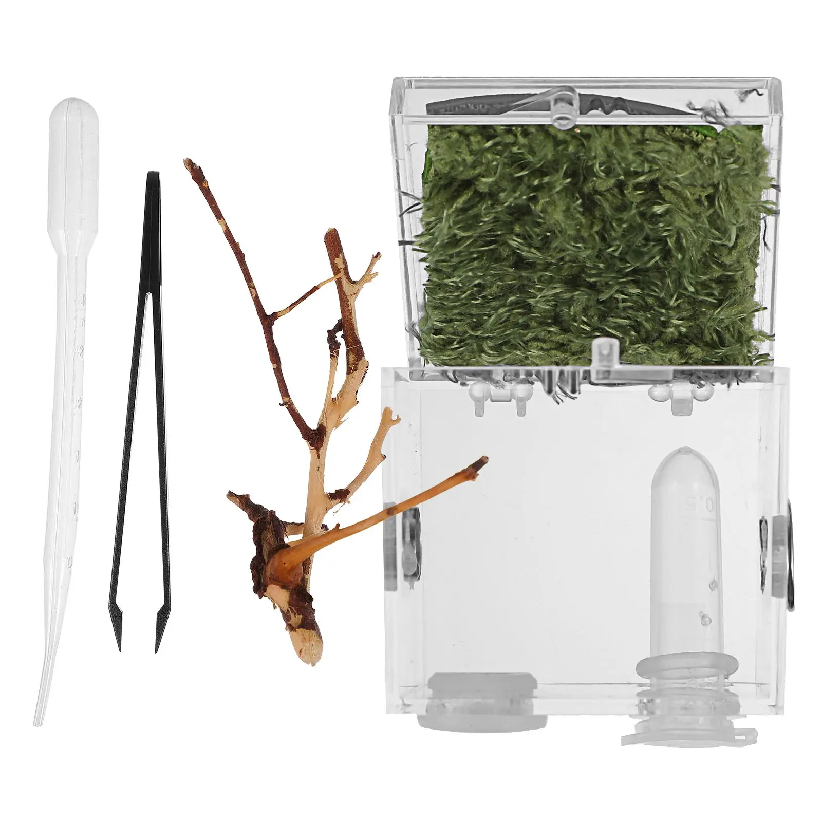 Jumping Spider Box Acrylic Terrarium Reptile Breeding Case Kit Tool Enclosure Portable Lightweight Insect Play Rest Space
Jumping Spider Box Acrylic Terrarium Reptile Breeding Case Kit Tool Enclosure Portable Lightweight Insect Play Rest Space