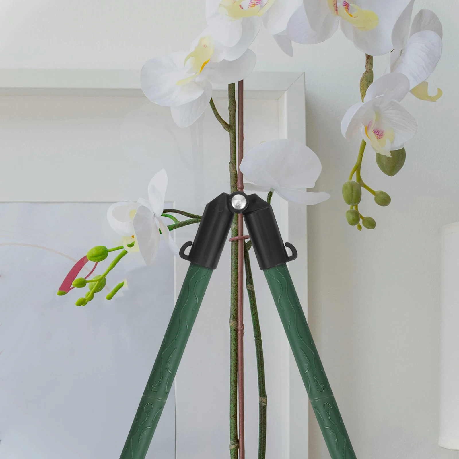 Gardening Accessories Base Clips Film Plant Tomato Trellis Connector Buildings Cross Buckle Plants
Gardening Accessories Base Clips Film Plant Tomato Trellis Connector Buildings Cross Buckle Plants