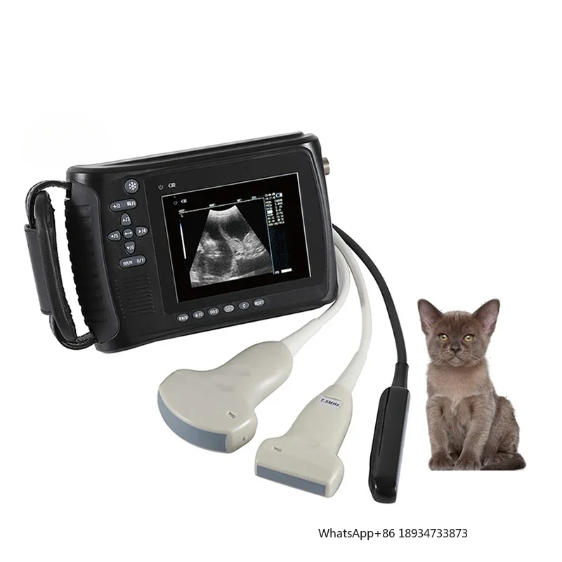 EURPET Portable Wireless Veterinary Ultrasound With Probes Cow Ultrasound Scanners
EURPET Portable Wireless Veterinary Ultrasound With Probes Cow Ultrasound Scanners