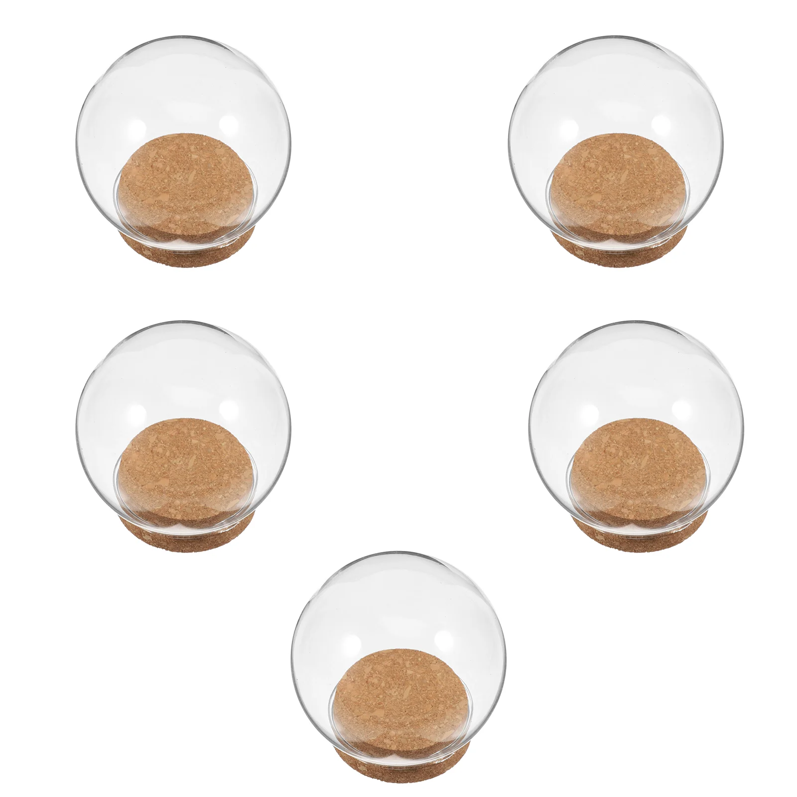 5 Pcs Immortal Flower Glass Hood Dome Photo Ornaments Suite Clear Landscape Cover Child for Crafts
5 Pcs Immortal Flower Glass Hood Dome Photo Ornaments Suite Clear Landscape Cover Child for Crafts
